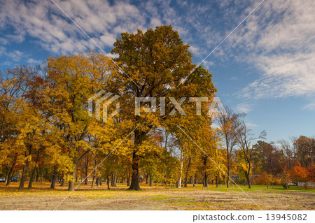Autumn in the popular park Stromovka in Prague 13945082
