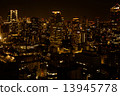 Tokyo Night View 13945778