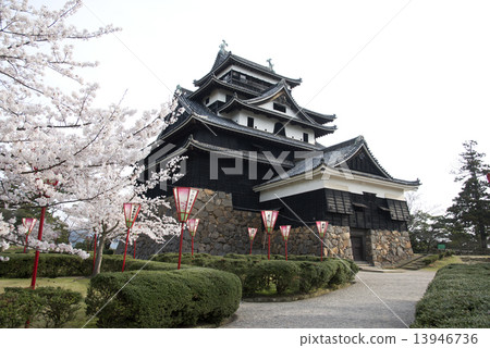 Matsue Castle 13946736