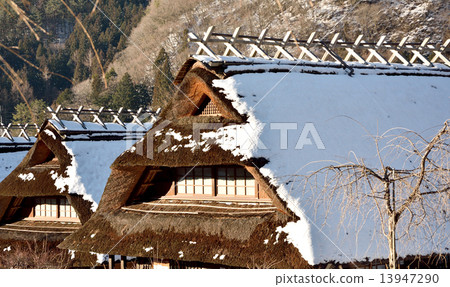 Roasted roof of winter 13947290