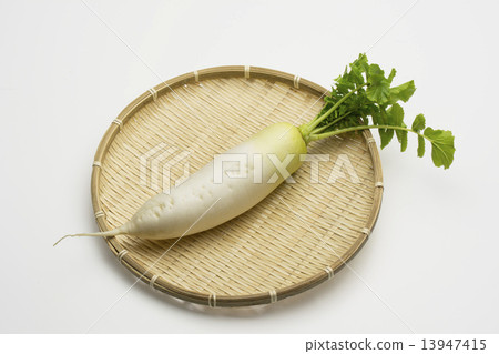 日本蘿蔔 13947415