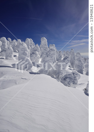 Rice of Nisatsugumama 13948621