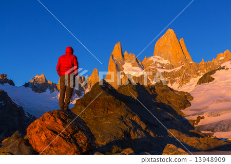 Fitz Roy Fitz Roy 13948909