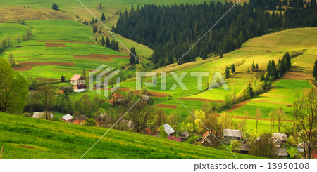 Rural landscape in the Carpathian mountains 13950108