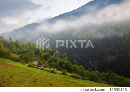 Spring landscape in the Carpathian mountains Spring landscape in the Carpathian mountains 13950130
