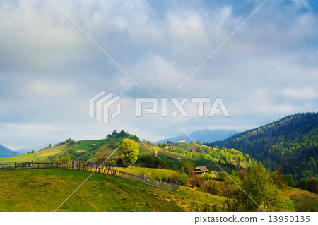 Spring landscape in the Carpathian mountains Spring landscape in the Carpathian mountains 13950135