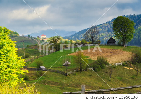 Spring rural landscape in the Carpathian mountains Spring rural landscape in the Carpathian mountains 13950136