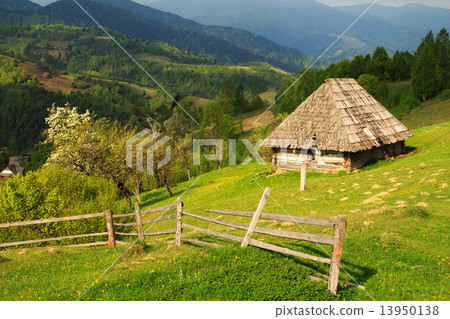 The picturesque little farm in the Carpathian Mountains, Mizhhir The picturesque little farm in the Carpathian Mountains, Mizhhir 13950138