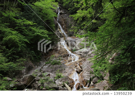 長野縣烏魯瀑布 13950239