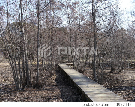 Yagawa Green Area Yagawa Green Area 13952115
