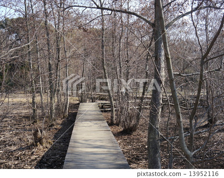 Yagawa Green Area Yagawa Green Area 13952116