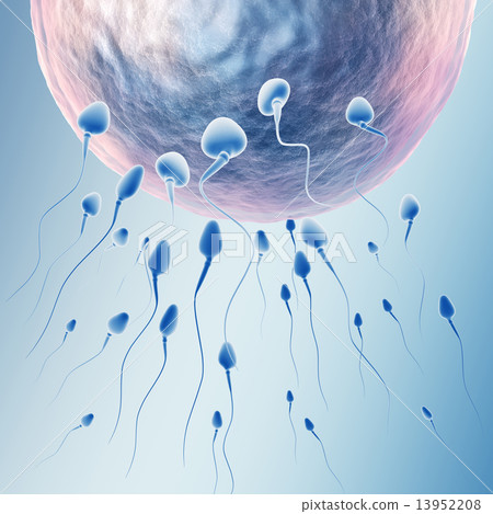 New life beginning 13952208