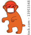 Secretly monkey 13953348
