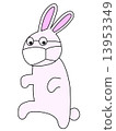 Secret rabbit 13953349