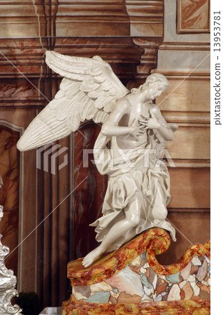 Angel Angel 13953781