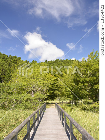 停泊和藍天的濕路 13954422