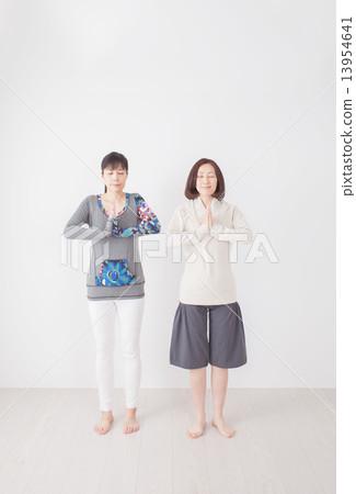 Two young middle-aged women 13954641
