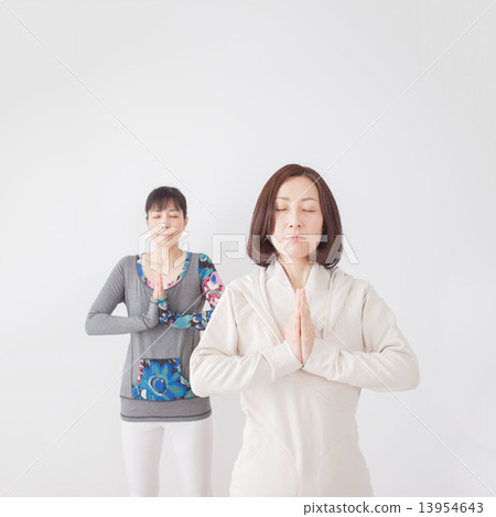 Two young middle-aged women Two young middle-aged women 13954643