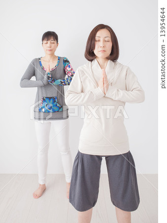兩名年輕的中年婦女 兩名年輕的中年婦女 13954644