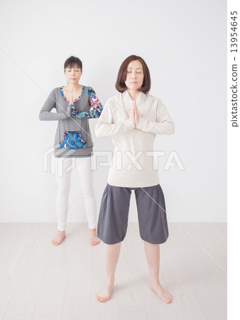 Two young middle-aged women 13954645