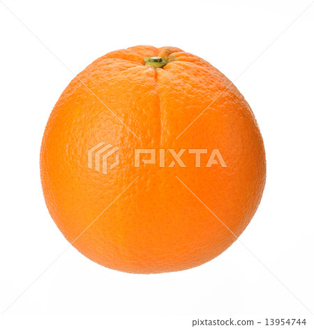 Domestic navel orange. Note) Detailed variety name is unknown. 13954744