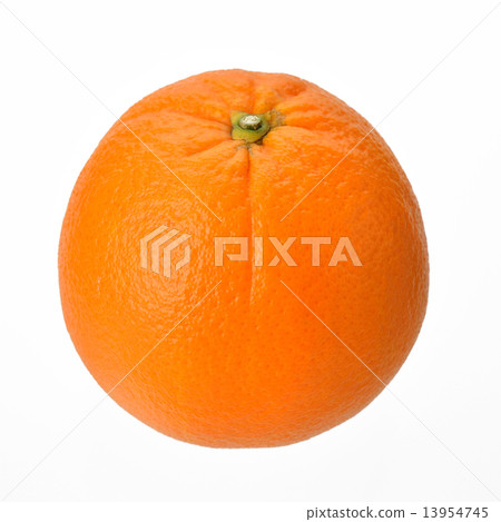 國內肚臍橙。注)詳細的品種名稱未知。 國內肚臍橙。注)詳細的品種名稱未知。 13954745