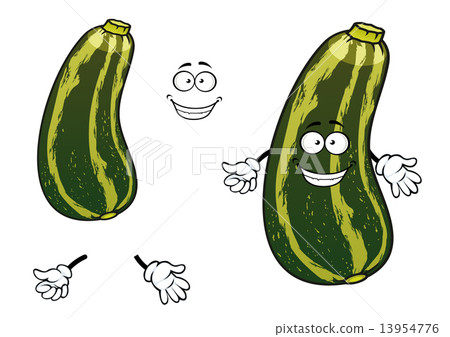 Cartoon striped green zucchini vegetable 13954776