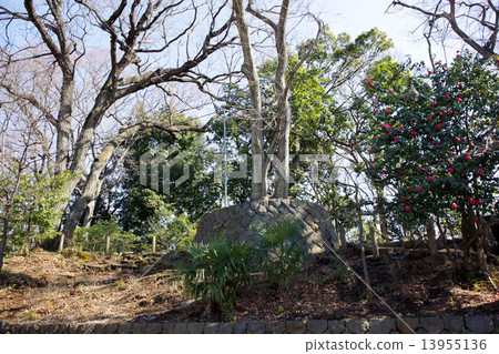 世田谷城堡遺址公園 世田谷城堡遺址公園 13955136