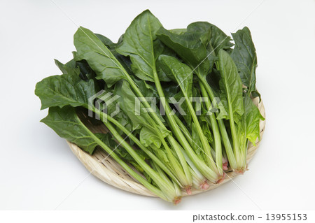 spinach  13955153