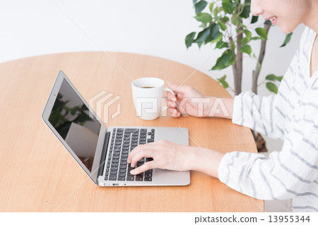 A young lady (personal computer) A young lady (personal computer) 13955344