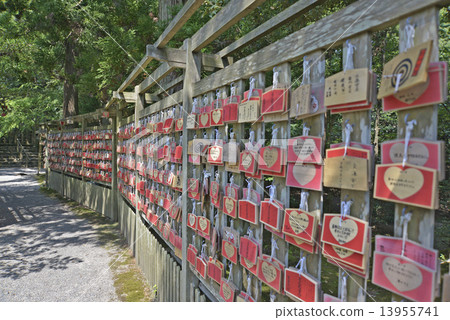 Noto Ichinomiya航空公司 13955741