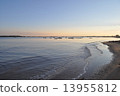 Evening sea 13955812