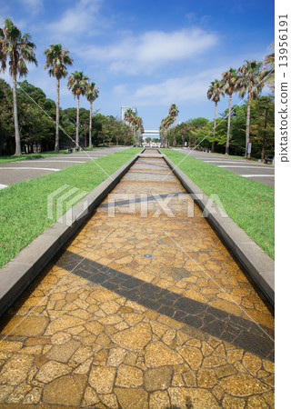 海風公園水和綠色散步 13956191