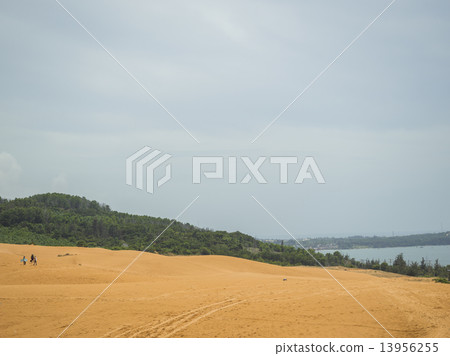 Dunes of Muynet, Vietnam 13956255