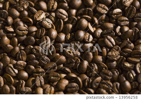 Coffee beans Coffee beans 13956258
