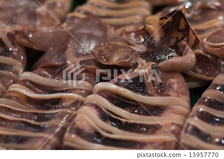 Grilled squid with stalls 13957770