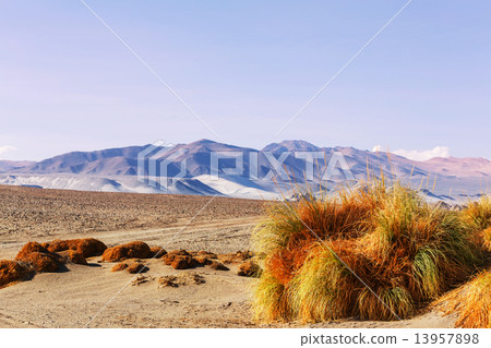 Northern Argentina Northern Argentina 13957898
