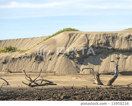beach sand dunes 13958216