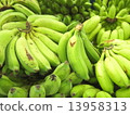 Banana / Saipan 13958313