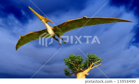 Flying pterodactyl  13958490