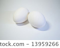 Egg 13959266