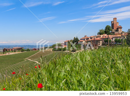 Serralunga d'Alba and green surroundings. 13959953