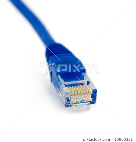 Macro of internet cable 13960331