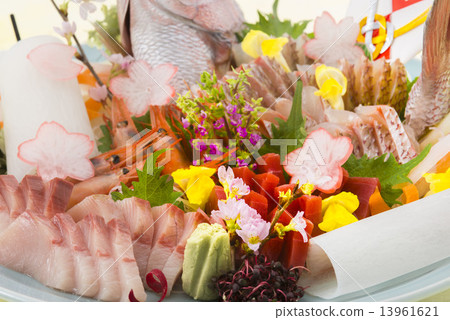 鯛魚菜 鯛魚菜 13961621