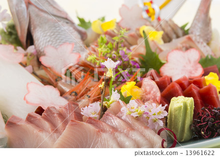 鯛魚菜 鯛魚菜 13961622