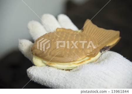 鯛 鯛 13961844