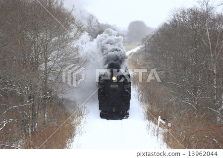 Kushimonomi Line SL 13962044