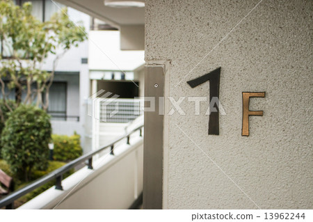 盆子 盤子 庭院 13962244