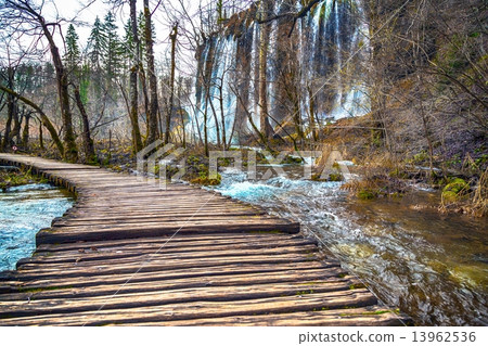 Road in the forest at autumn 13962536