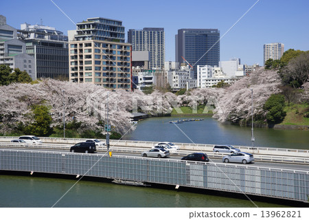 Cherry blossoms at the Chidorigafuchi and the capital city high speed 13962821